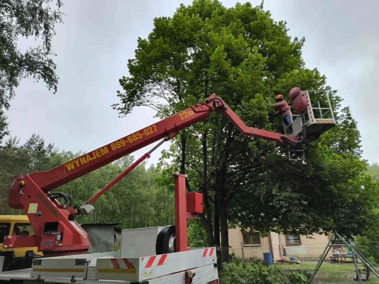 Wycinka drzew w miejscu o utrudnionym dostępie